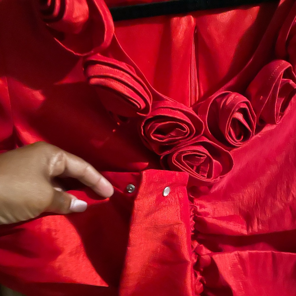 Red Ruffled Blouse - Picture 3 of 3